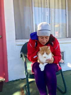 I found a kitty and he sat on me! A great way to start the morning.