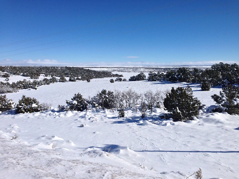 An absolutely gorgeous day for biking. Whoever said snow and biking don't go together?